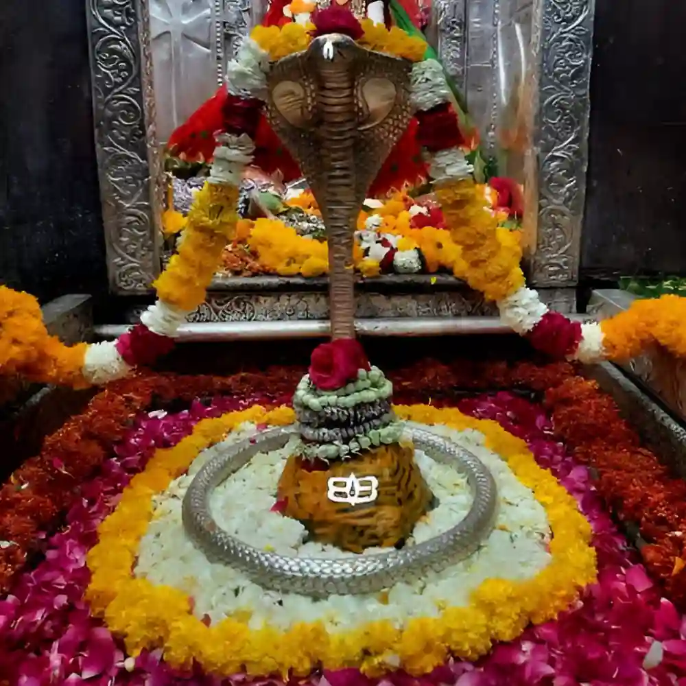 Shivji