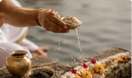 Tarpan